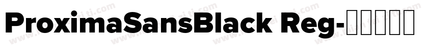 ProximaSansBlack Reg字体转换